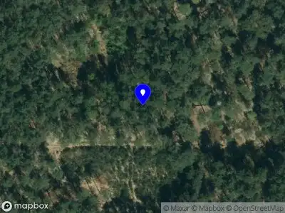 Brandweer met gepaste spoed naar de Scherpenzeelseweg in Leersum vanwege stormschade