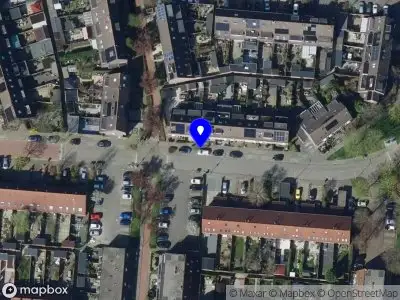 Overlastmelding Scholekster in Oud-Beijerland