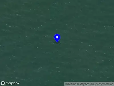 Politie met grote spoed naar de Vrouwenpolderseweg in Vrouwenpolder vanwege letsel