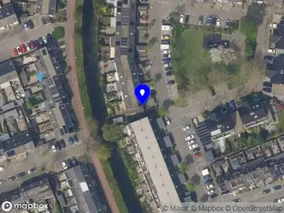 Overlastmelding Lupine in Rijnsburg