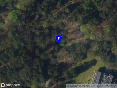 Politie naar de Hoog Kanje in Zeist vanwege aanrijding met letsel