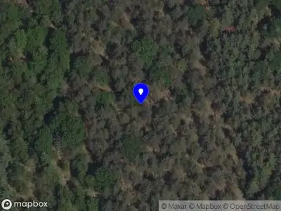 Brandweer met grote spoed naar de Dennendijk in Asten