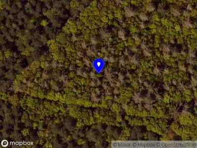 Ambulance met gepaste spoed naar de Pontweg in De Koog