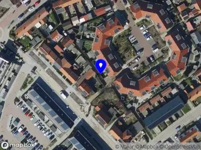 Politie naar de Oranjeplein in Zuidland vanwege dier(en) in nood