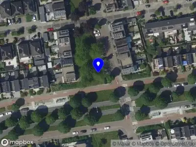 Ambulance met grote spoed naar de Dorstense aak in Papendrecht