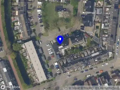 Overlastmelding Lupine in Rijnsburg