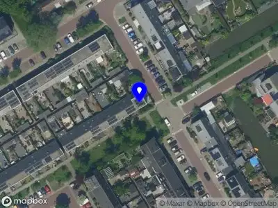 Overlastmelding Groene Specht in Heemskerk