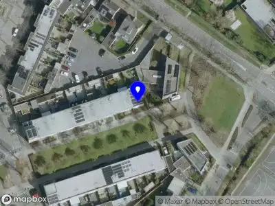 Overlastmelding Boomleeuwerik in Goirle