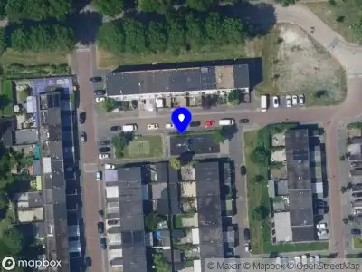 Overlastmelding Zilverlinde in Lelystad
