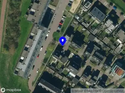 Overlastmelding Maagdenpalm in Arnhem