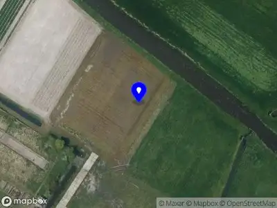 Overlastmelding Ter Beek in 2161ND Lisse