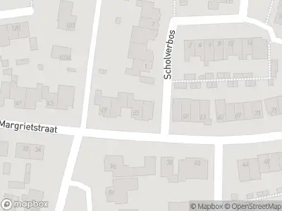 Brandweer met gepaste spoed naar de Rijksweg in Rijen