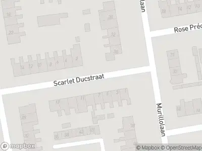 Ambulance met gepaste spoed naar de Scarlet Ducstraat in Andijk