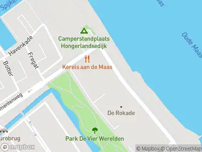 Ambulance met grote spoed naar de Hongerlandsedijk in Spijkenisse