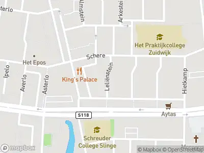 Ambulance met gepaste spoed naar de Leliënstein in Rotterdam