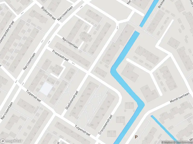 Overlastmelding Crocussenstraat in Sassenheim