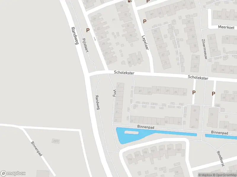 Overlastmelding Fuut in Oud-Beijerland