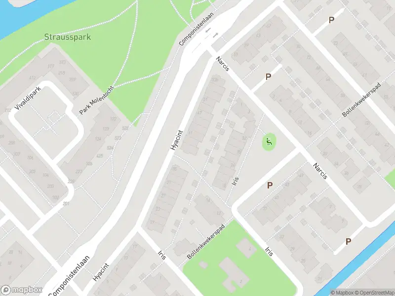 Overlastmelding Hyacint in Voorhout