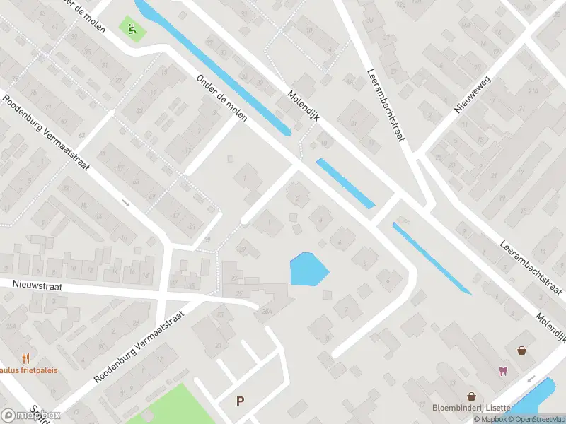 Overlastmelding Molenvliet in 's-Gravendeel gesloten