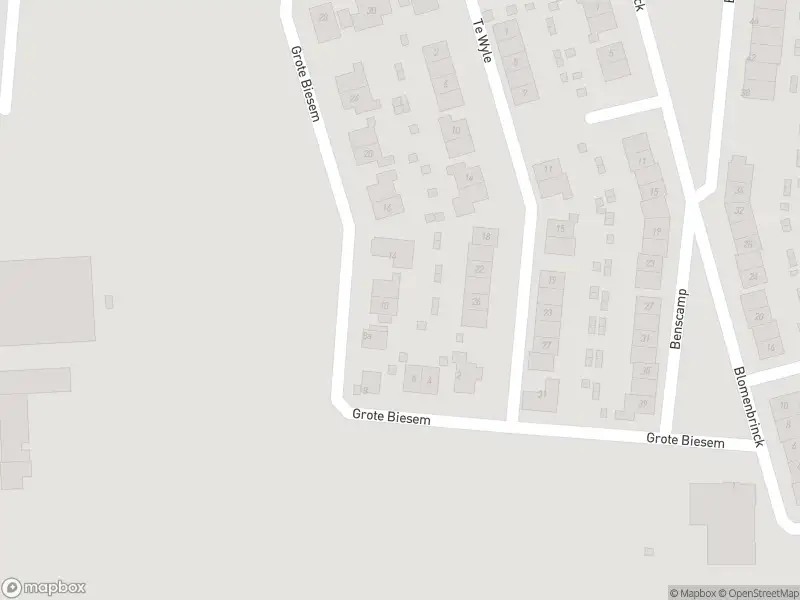 Overlastmelding Grote Biesem in Doesburg gesloten