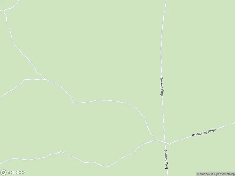 Brandweer met gepaste spoed naar de Jan van Scorelpark in Schoorl