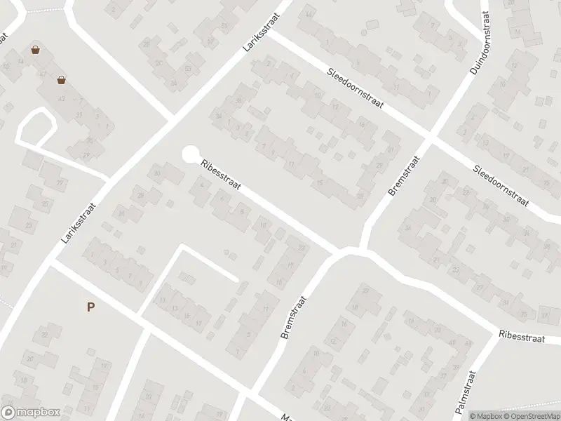 Overlastmelding Ribesstraat in Echt gesloten