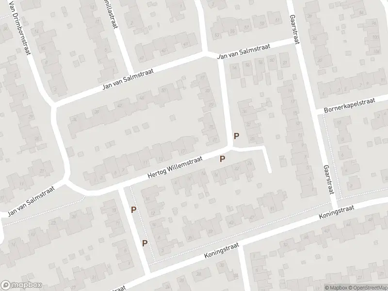 Overlastmelding Molenstraat in 6121XG Born