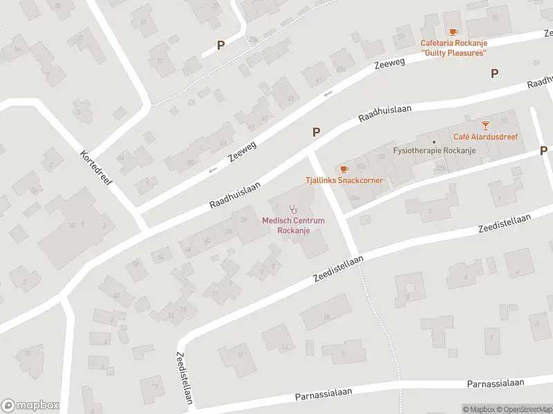 Ambulance met grote spoed naar de Duindoornlaan in Rockanje