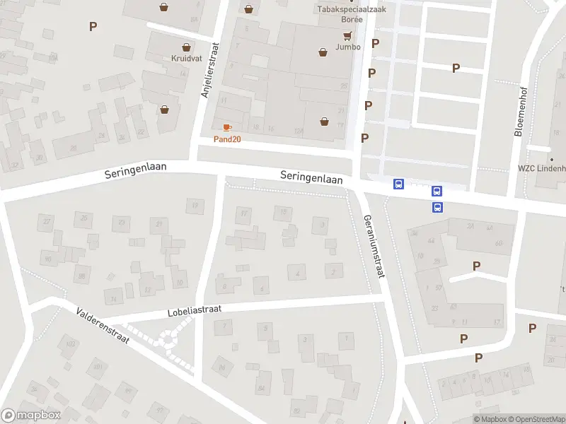 Overlastmelding Seringenlaan in Geleen