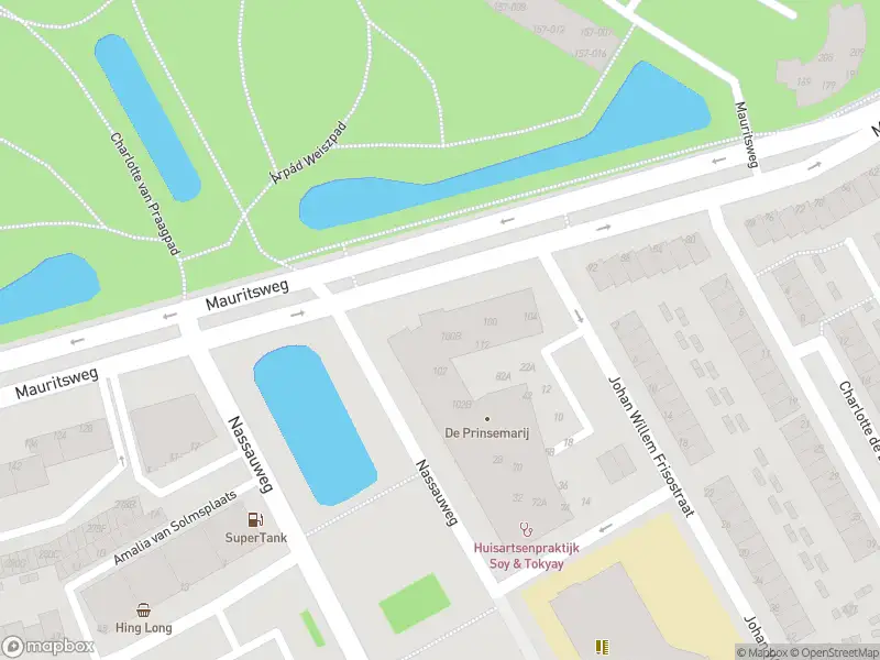 Overlastmelding Mauritsweg in Dordrecht