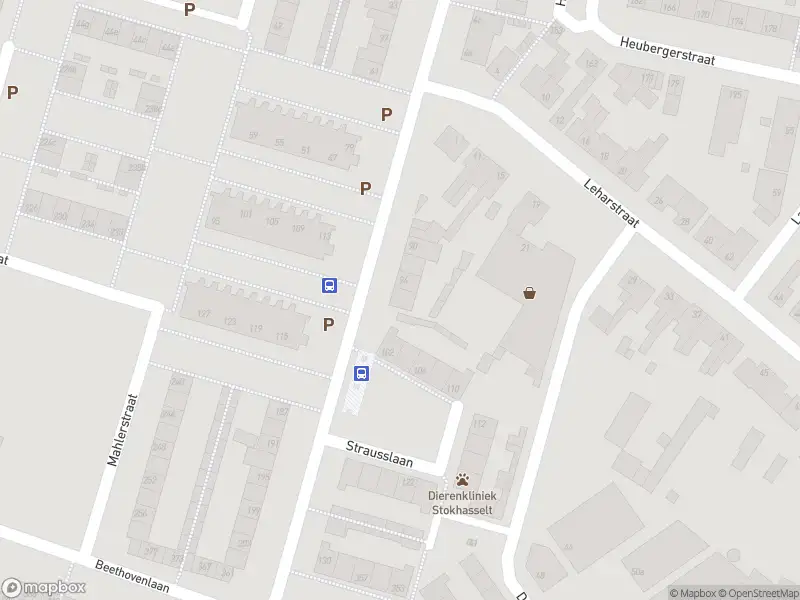 Overlastmelding Strausslaan in Tilburg