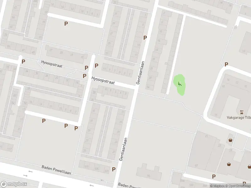 Overlastmelding Hyssopstraat in Tilburg