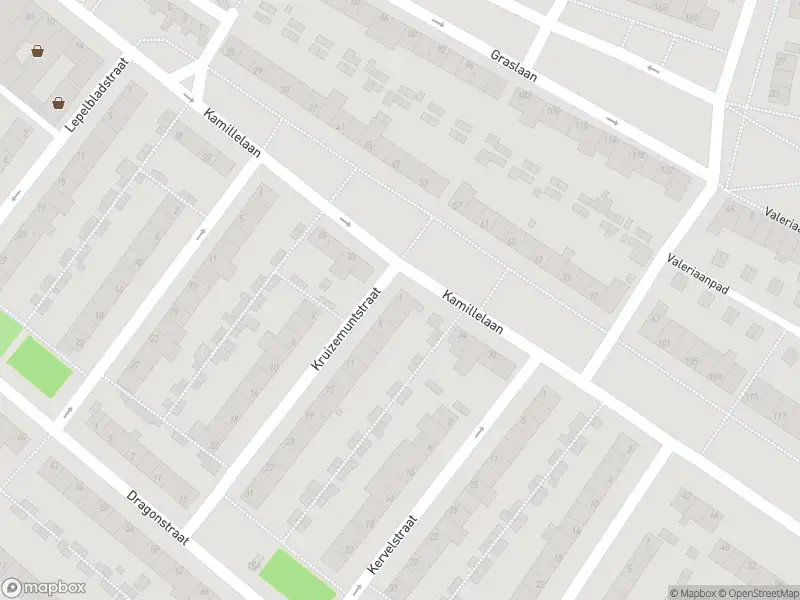 Overlastmelding Kruizemuntstraat in Arnhem gesloten