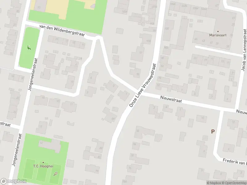 Overlastmelding Onze-Lieve-Vrouwestraat in Zegge gesloten