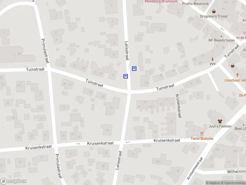 112 melding Overlastmelding Leliestraat in Brummen