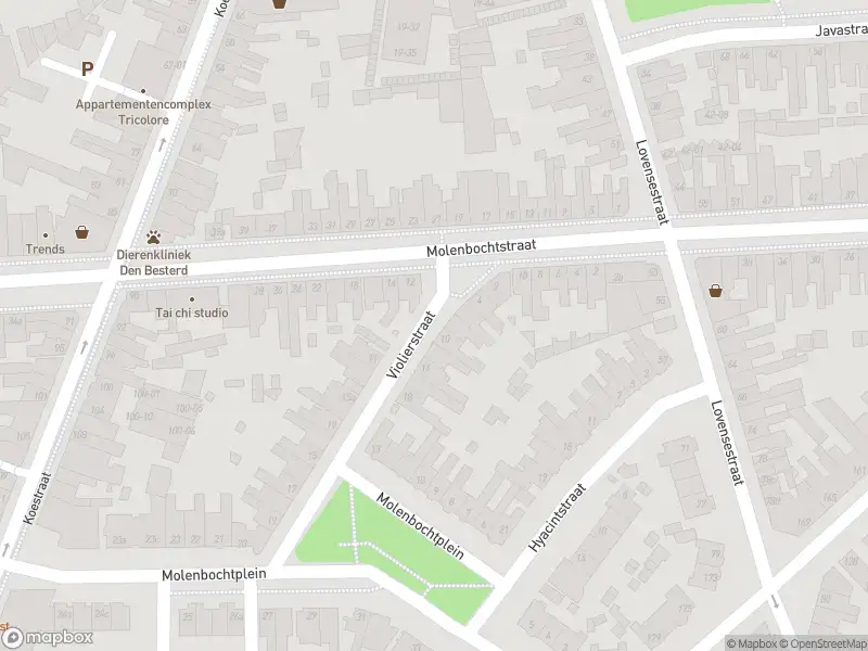 Anonieme overlastmelding Violierstraat in Tilburg