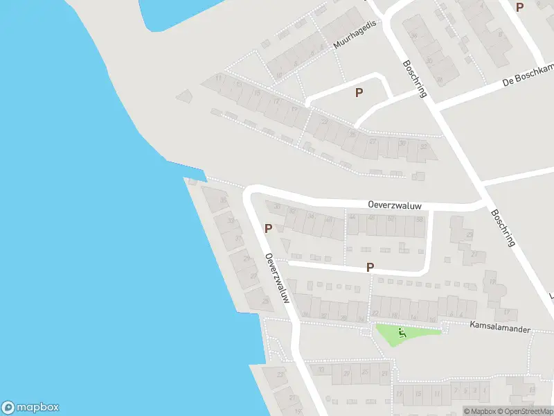 Overlastmelding Oeverzwaluw in Goirle
