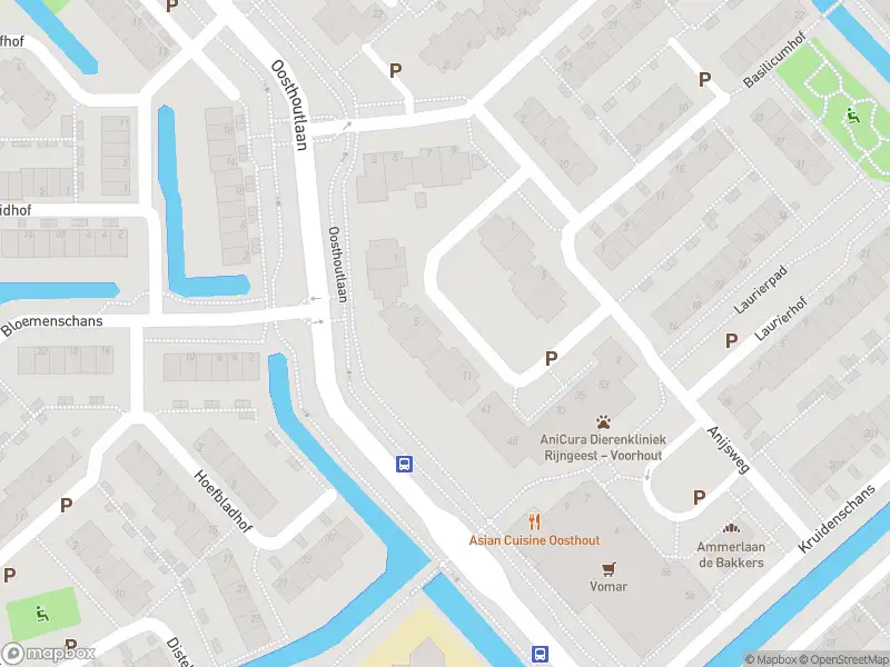 Traumahelikopter naar de Balsemkruidstraat in Voorhout