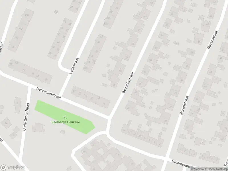 112 melding Overlastmelding Begoniastraat in Echt