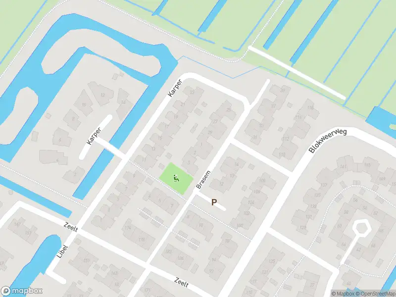 Overlastmelding Brasem in Alblasserdam