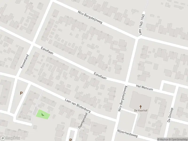 Overlastmelding Nico Bergsteijnweg in Woudenberg