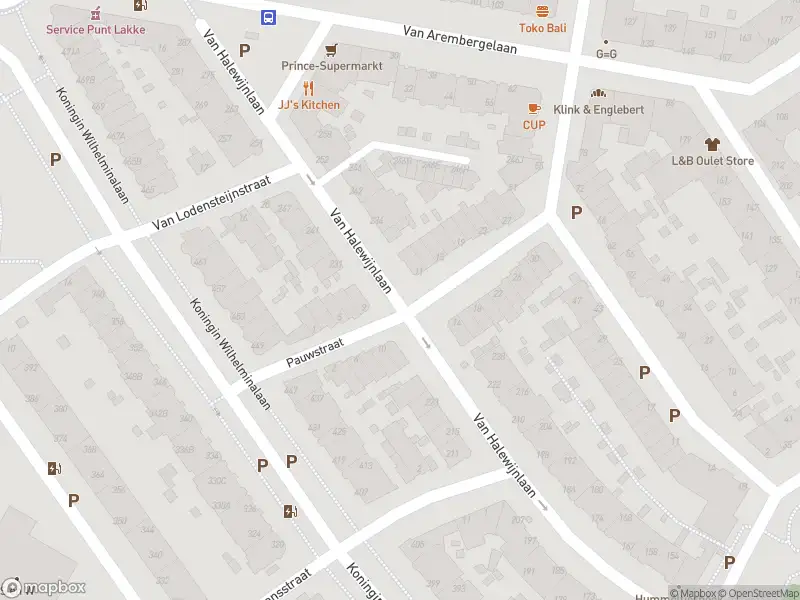 Ambulance met gepaste spoed naar de Van Zegwaardstraat in Voorburg