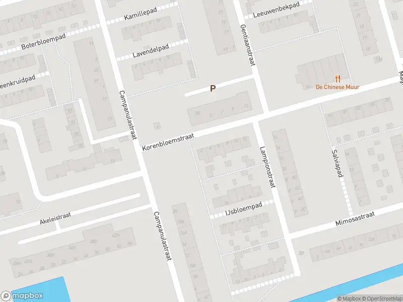 Ambulance met gepaste spoed naar de Korenbloemstraat in Spijkenisse