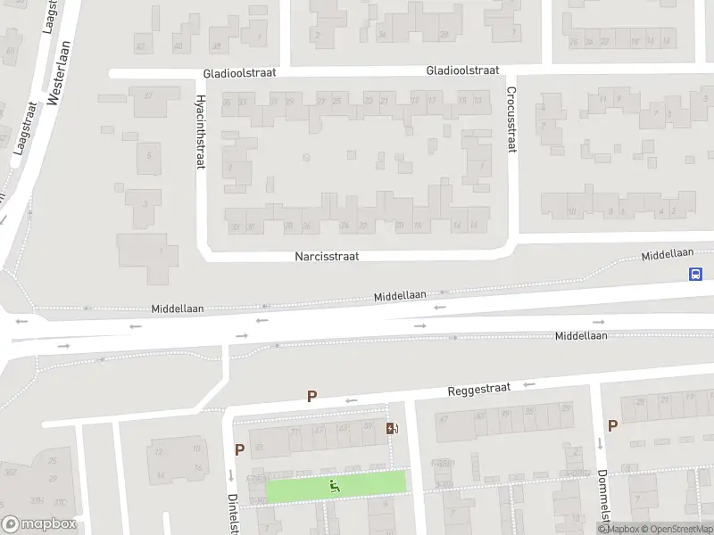 Overlastmelding Middellaan in Dongen
