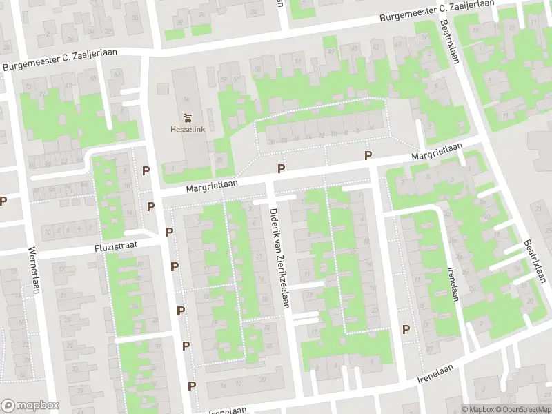 Overlastmelding Diderik van Zierikzeelaan in Dirksland