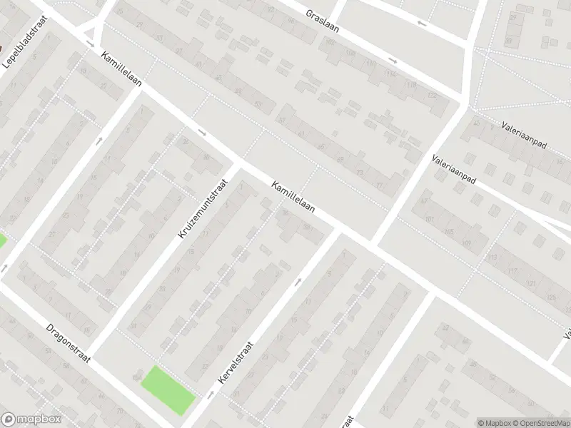 112 melding Overlastmelding Kamillelaan in Arnhem