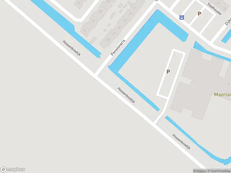 Ambulance met gepaste spoed naar de Hossenbosdijk in Vierpolders