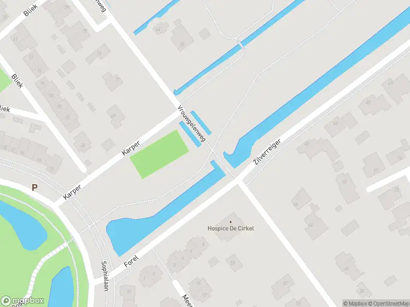 Overlastmelding Fonteinkruid in Hendrik-Ido-Ambacht