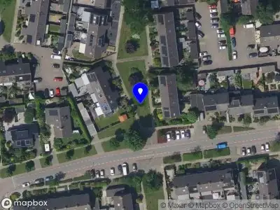 Ambulance met gepaste spoed naar de Goudenregenpad in Sleeuwijk