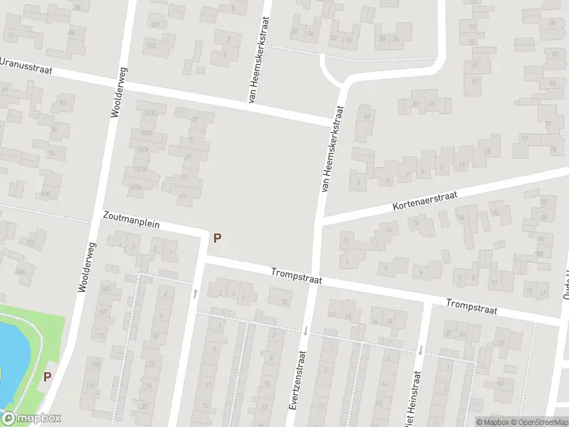 Brandweer met gepaste spoed naar de De Ruyterstraat in Borne vanwege afgaan rookmelder